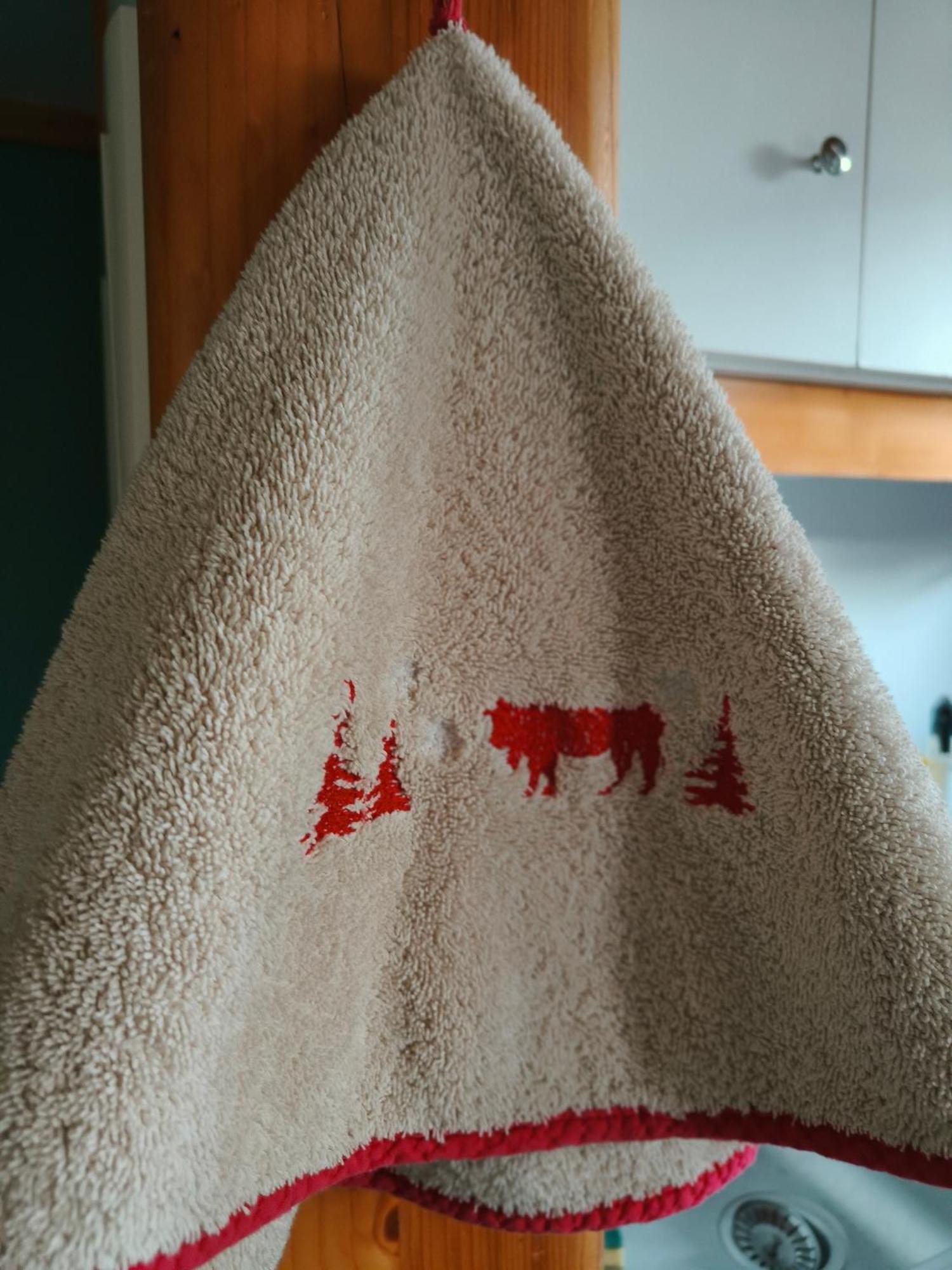 Chalets De La Colagne Bourgs sur Colagne Bagian luar foto